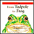 From Tadpole to Frog