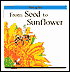 From Seed to Sunflower