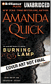 Burning Lamp: Book Two of the Dreamlight Trilogy (Arcane Society Series #8)