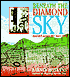Beneath the Diamond Sky: Haight Ashbury 1965-1970