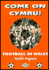 Come on Cymru!