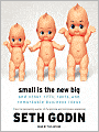 Small Is the New Big: And Other Riffs, Rants, and Remarkable Business Ideas