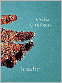A Million Little Pieces