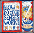 How Do Your Senses Work?