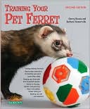 Training Your Pet Ferret