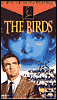 The Birds with Rod Taylor