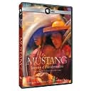 Mustang: Journey to Transformation