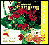 Colourful Hanging Baskets and Other Containers