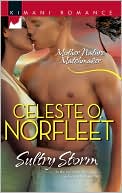 Sultry Storm (Kimani Romance Series #142)