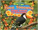 Toco Toucans: Bright Enough to Disappear
