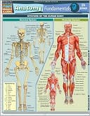 Anatomy Fundamentals: Life Sci. (New)