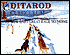 Iditarod Curriculum: The Last Great Race to Nome