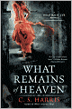 What Remains of Heaven (Sebastian St. Cyr Series #5)