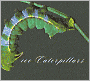 100 Caterpillars: Portraits from the Tropical Forests of Costa Rica