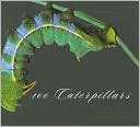 100 Caterpillars: Portraits from the Tropical Forests of Costa Rica