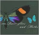 100 Butterflies and Moths: Portraits from the Tropical Forests of Costa Rica