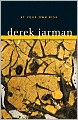 At Your Own Risk: A Saint's Testament