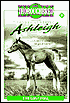 Lost Foal