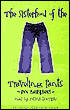 The Sisterhood of the Traveling Pants