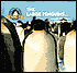 Large Penguins