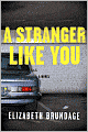 A Stranger Like You