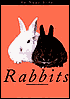 Rabbits in Your Life