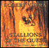 Stallions of the Quest