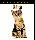 Essential Kitten