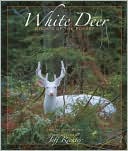 White Deer: Ghosts of the Forest