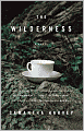 The Wilderness