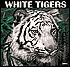 2003 Tigers White Wall Calendar