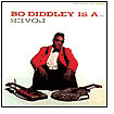 Bo Diddley Is a Lover