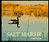 Salt Marsh