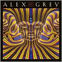 2011 Alex Grey Wall Calendar