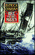 Blue at the Mizzen