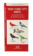 New York City Birds: An Introduction to Familiar Species in the Metropolitan Area