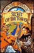 Secret of the Tower (Circle of Magic Series #2)