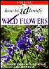 How to Identify Wild Flowers