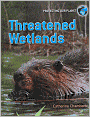 Threatened Wetlands