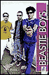 The Beastie Boys Companion: Two Decades of Commentary