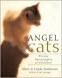 Angel Cats: Divine Messengers of Comfort
