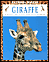 Giraffe: Habitats, Life Cycles, Food Chains, Threats