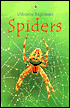 Spiders