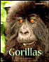 Gorillas (AnimalWays Series)