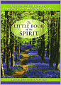 The Little Book of the Spirit: Thoughts to Inspire, Comfort, and Motivate Women