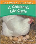 A Chicken's Life Cycle
