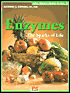 Enzymes: The Sparks of Life