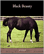 Black Beauty