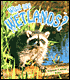What Are Wetlands?