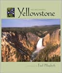 Wild and Beautiful Yellowstone